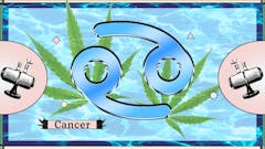 Cancer astrological symbol on watery background with weed leaves