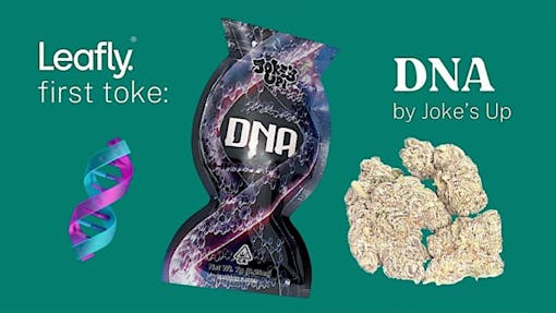 DNA by Joke's Up Ice Kream Summer 2022 Menu First Toke review by Leafly.