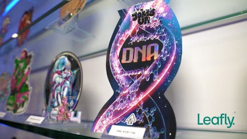 Yung LB's debut solo strain DNA on display at the Joke's Up Ice Kream Dispensary grand opening in Santa Monica, CA. (Amennu McGruder / Leafly)