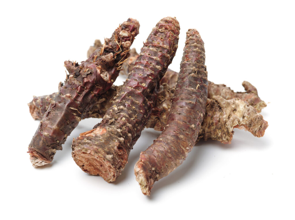 Rhodiola on a white background