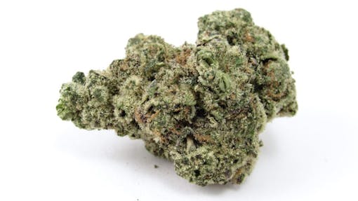 Live your best umami life—Donny Burger. Grown by Legion of Bloom, CA. (David Downs/Leafly)