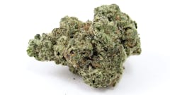 Live your best umami life—Donny Burger. Grown by Legion of Bloom, CA. (David Downs/Leafly)