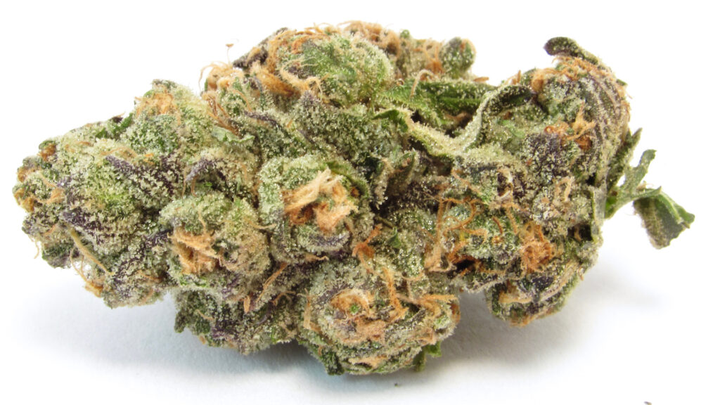 Blue Power crosses apples & bananas. (David Downs/Leafly)