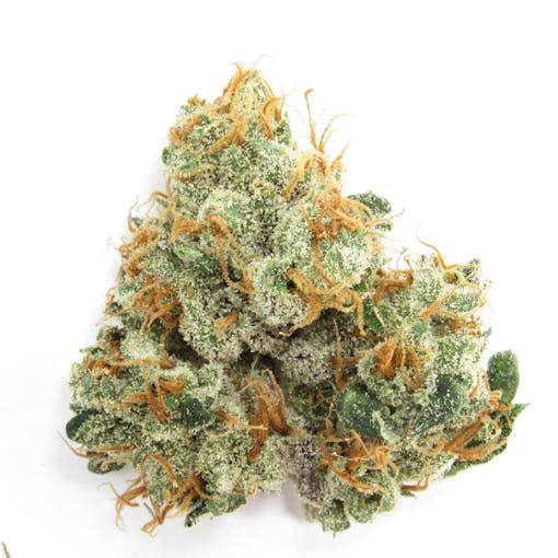 GMO Rootbeer in the wild. Grown by Snowtill. Indica hybrid. (David Downs/Leafly)