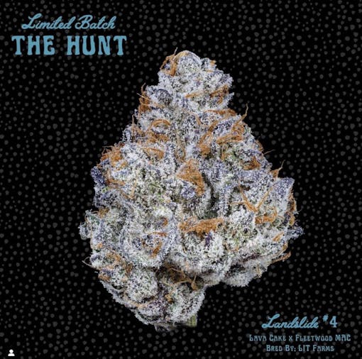 The Hunt is over: Landslide #4. (Courtesy Freddys Fuego)