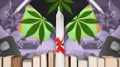 collage of weed leaves, a joint and textbooks