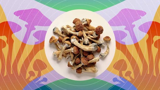 how to dose psilocybin mushrooms