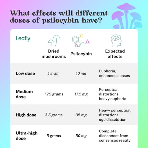 psychedelic mushroom dosing chart