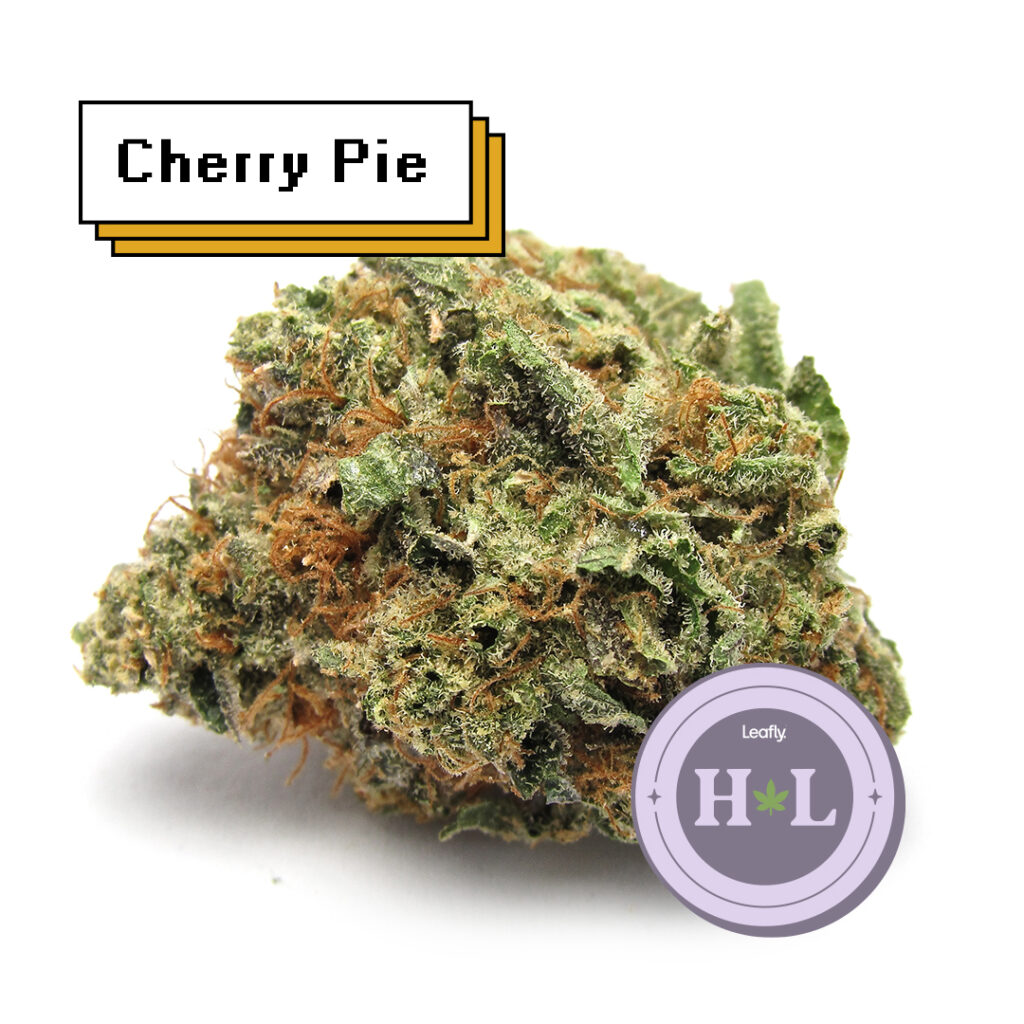July 2022 Leafly HighLight Ice Cream Cake strain Leafly