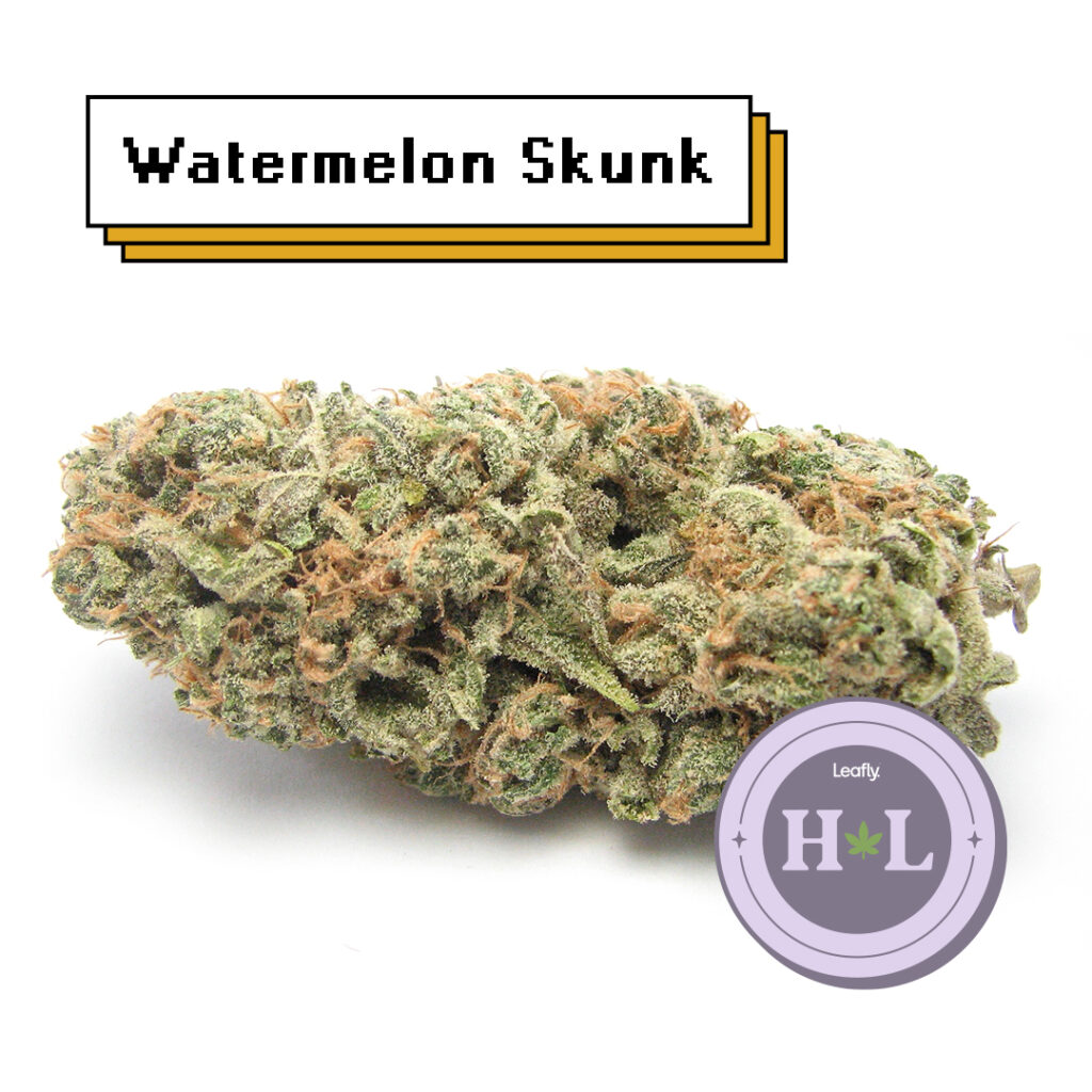 July 2022 Leafly HighLight Ice Cream Cake strain Leafly