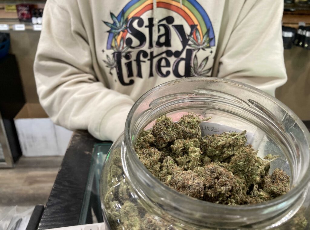 Man in white sweatshirt holding big jar with dark green nuggets