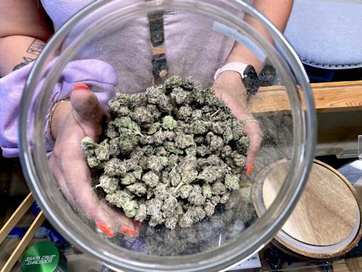 looking down into glass jar full of light green weed nugs