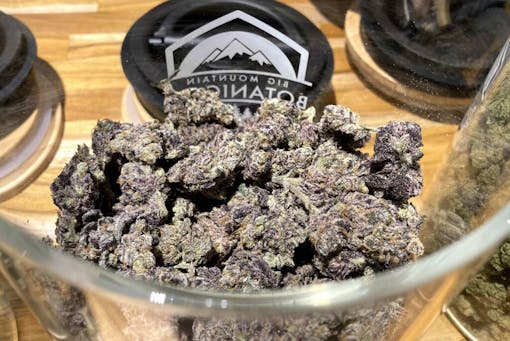 close up of purple green weed nugs in glass jar