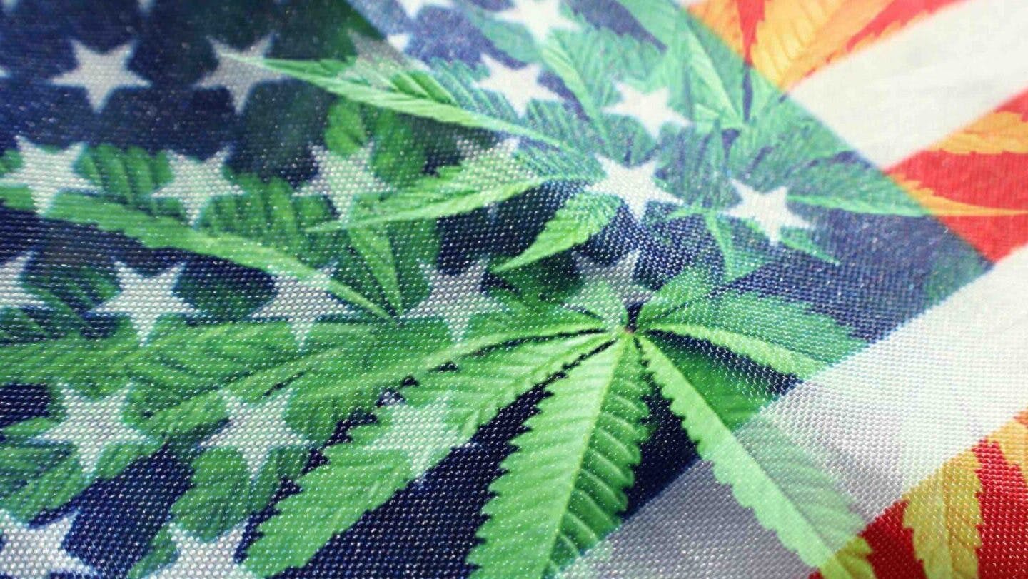 Which states protect employees from cannabis tests? image