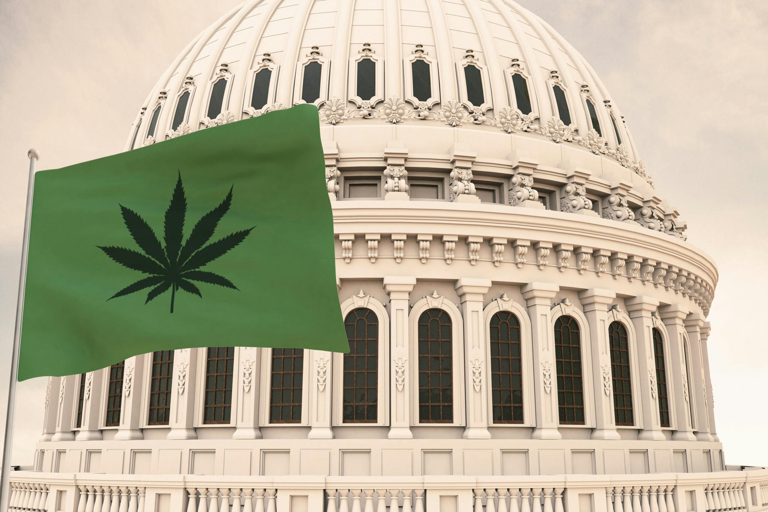 Washington DC just legalized weed for local adults image