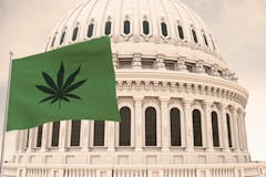 Cannabis plants its flag in the nation's Capitol. (Alexander Sánchez / AdobeStock)