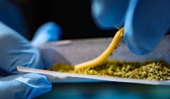 14 banger, must-try hashes from this side of the Atlantic to the other. It’s Leafly Buzz for July! Above, a hash worm slides into a Fidel’s hash hole.