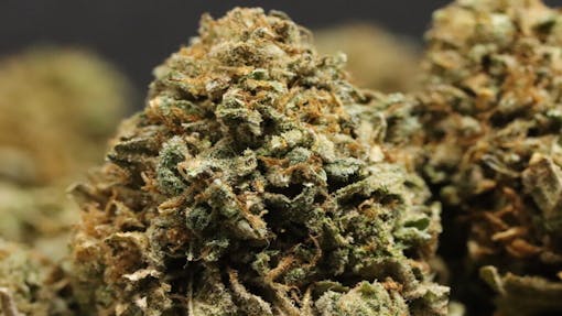 Bruce Banner nug shot