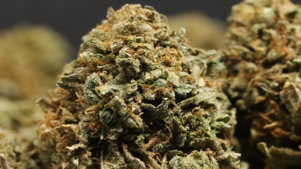 Bruce Banner nug shot