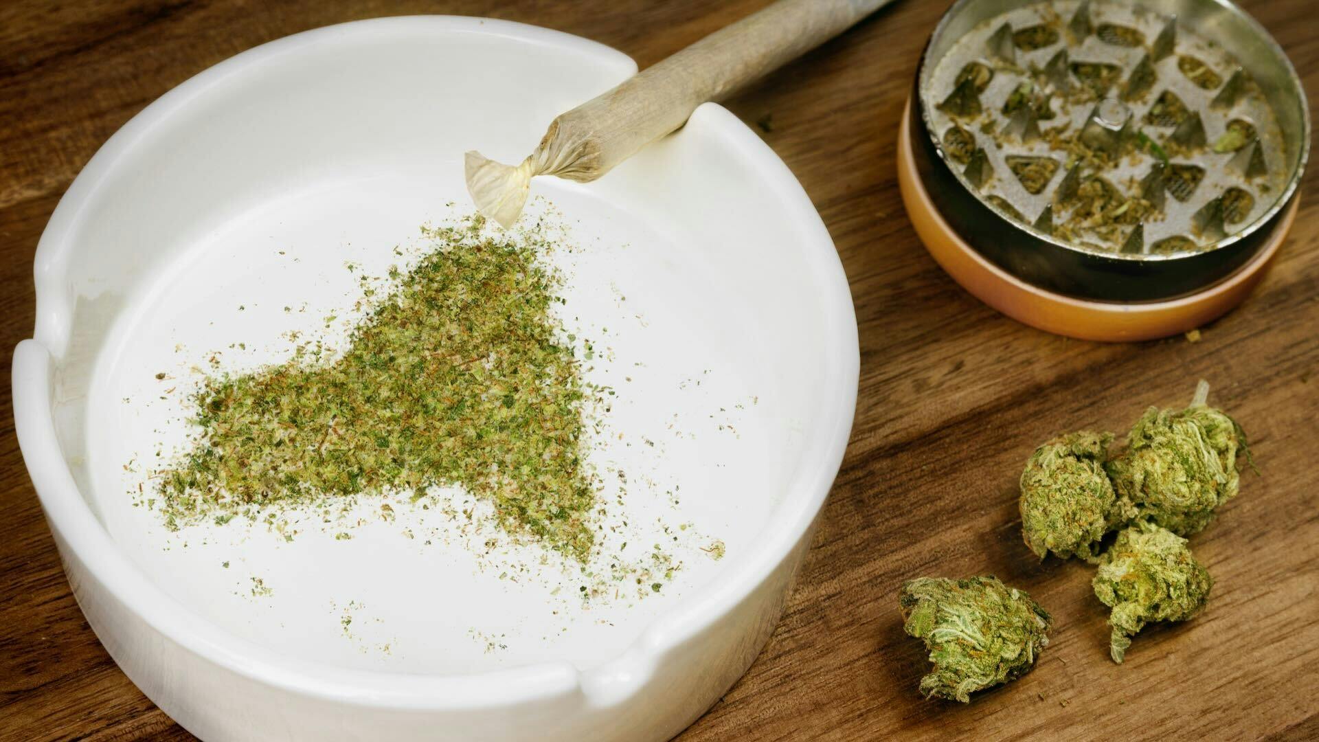 New York's making a mess of legalization so far image