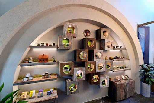 (Photo by Stefanie Keenan/Getty Images for The Woods)