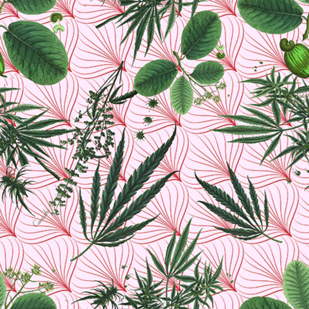 weed wallpaper