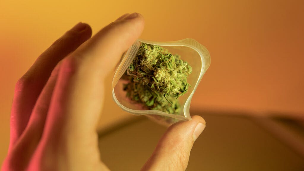 Will delta8, delta10, or HHC make you fail a drug test? Leafly