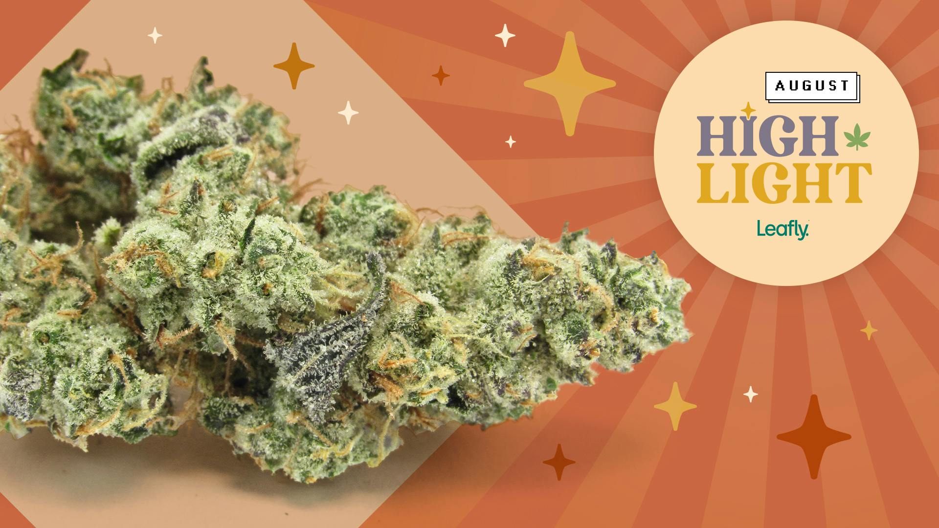 August 2022 Leafly HighLight GMO Cookies strain Leafly