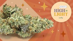 Each month, Leafly highlights a trending strain you should know about —we call it Leafly HighLight. This month GMO Cookies pairs with your sweaty August.