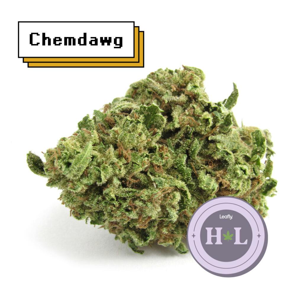 August 2022 Leafly HighLight GMO Cookies strain Leafly