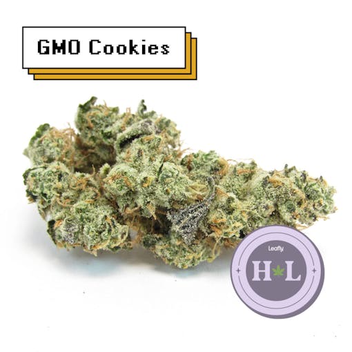 CAM-grown GMO Cookies from California. (Sasha Beck/Leafly)