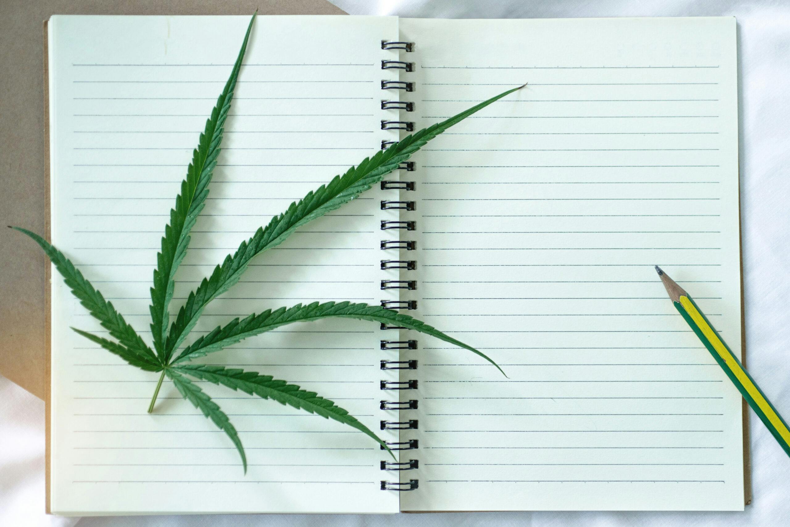 Higher Education: Cannabis courses and post-secondary programs in Canada image