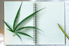 Cannabis leaf on book with pencil, top view, learning about cannabis leaf for medical treatment