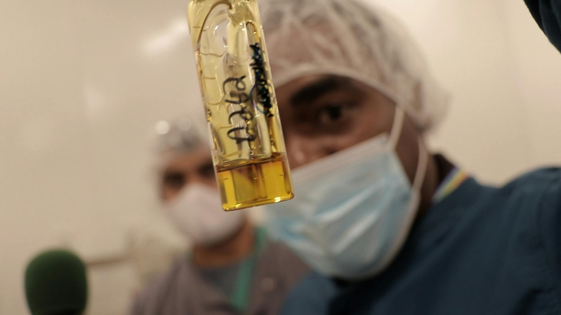 Inside New Jersey's largest weed factory image