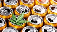 Golden beer cans.The sale of products and drinks with addition of hemp (cannabis) Beer cans with weed on one of them