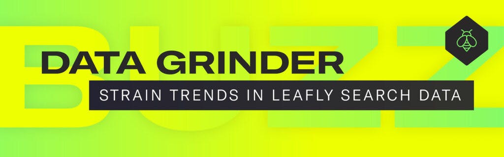 This March, the west coast is experiencing severe stress. (Sasha Beck/Leafly)