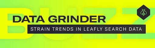 Here are the highlights of the monthly change in West Coast traffic volumes to tribes in our database of 5,000 tribes (Sasha Beck/Leafly).