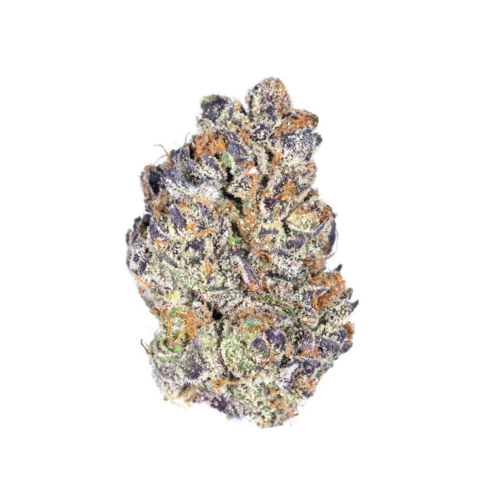 Sweep The Leg: Daniel La Russo tritt über ihr Gewicht hinaus. Hybrid-Indica. (Höflichkeitsball Familienbetriebe)