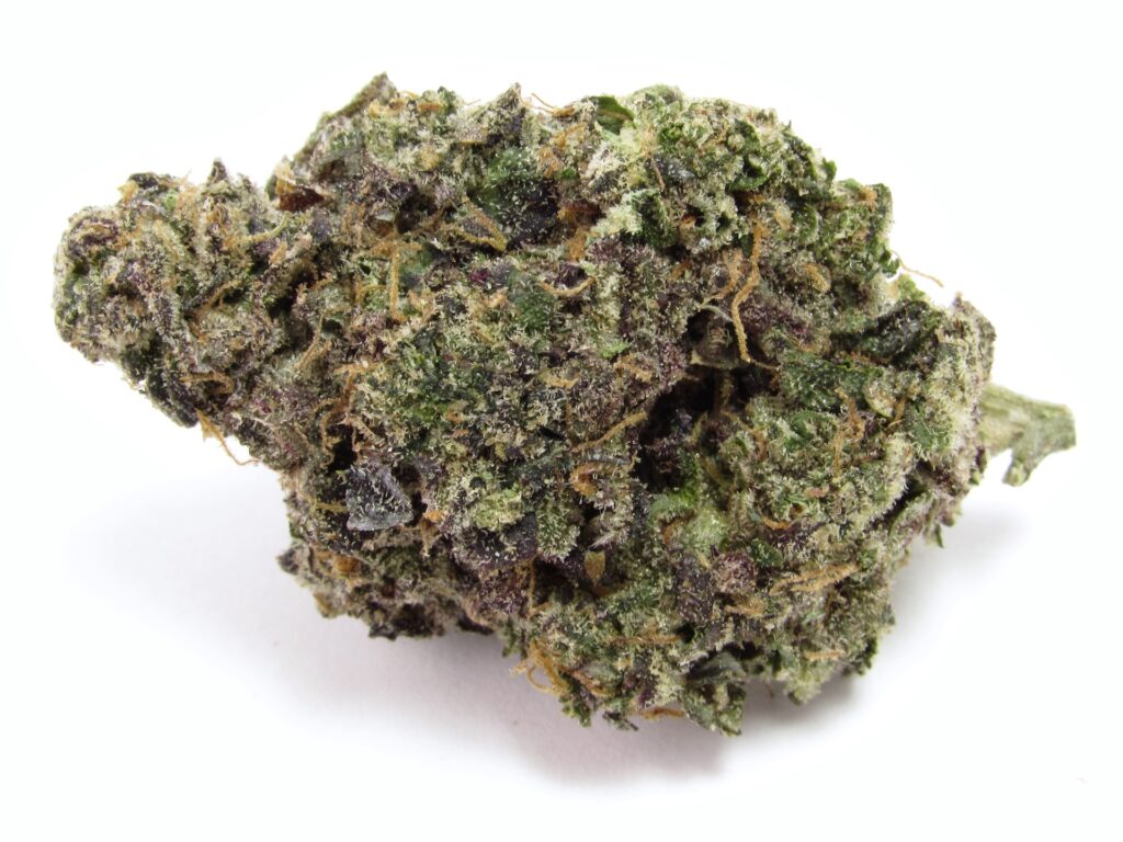 (David Downs/Leafly)