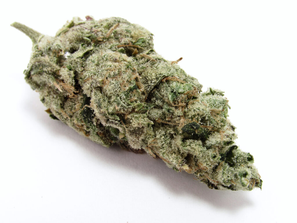 (David Downs/Leafly)