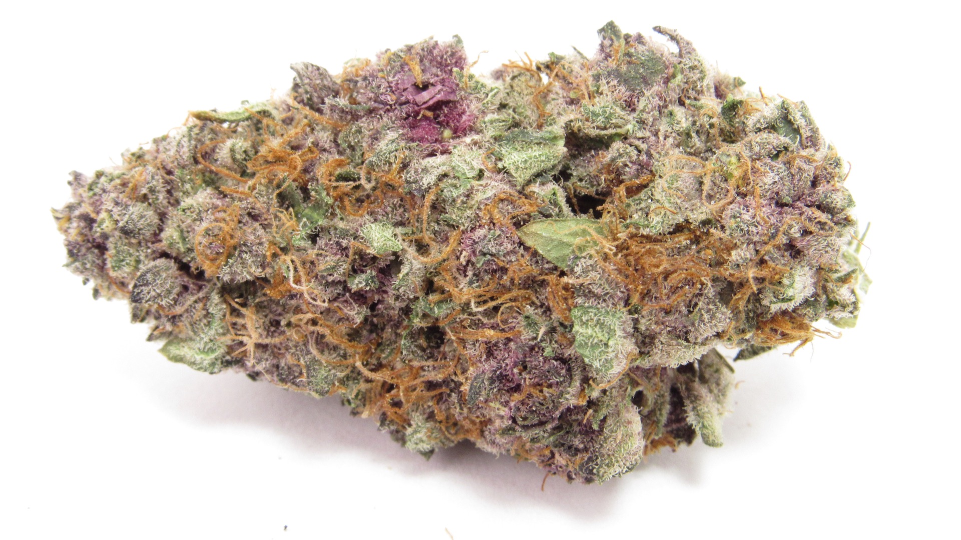 (David Downs/Leafly)