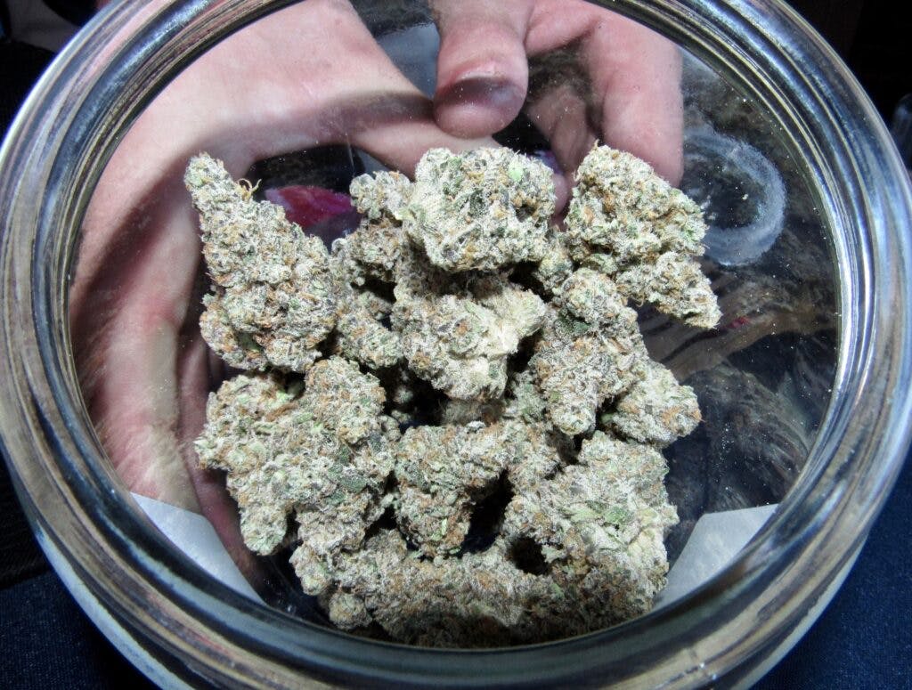 The Apple Fritter weed strain is September 2022's Leafly HighLight