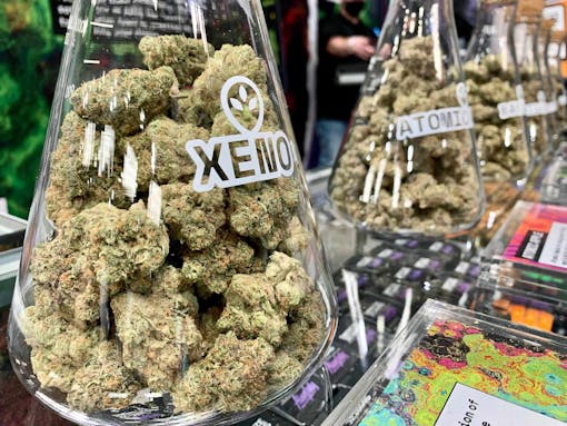 We first saw a 'KMZ' as Alien Labs Xeno in 2021, and it was bomb. (David Downs/Leafly)