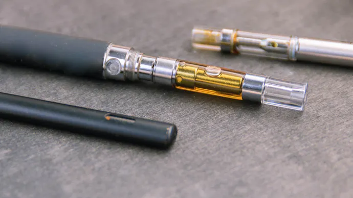 best tasting vape juice brands The 8 best dry herb vaporizers of 2026