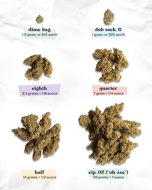 Graphic showing six different amounts of weed and slang expressions: dime bag, dub sack, eighth, quarter, half, and zip.