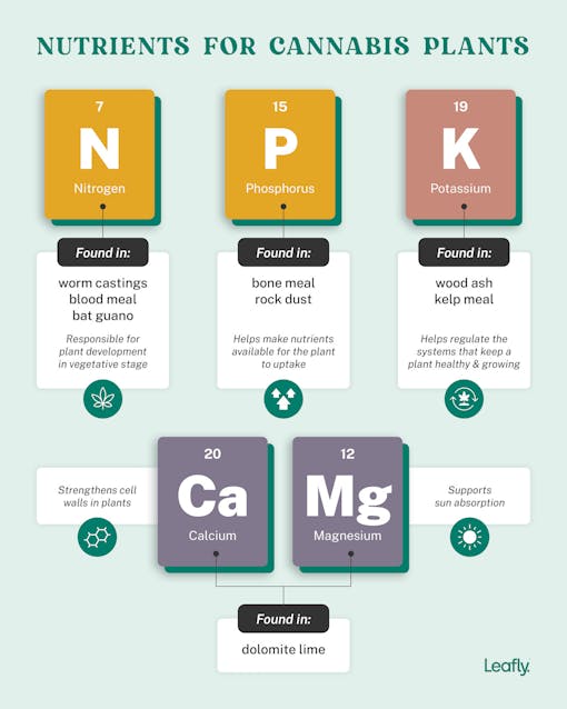 nutrients for cannabis