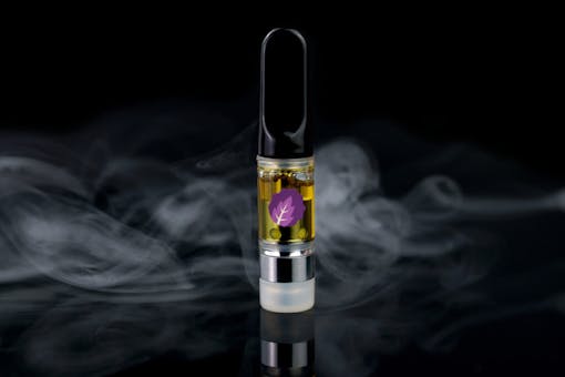 (Courtesy Happy Cabbage)