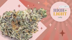 Each month, Leafly highlights a top 200 strain on fire—we call it Leafly HighLight. This Month: hot Apple Fritter.