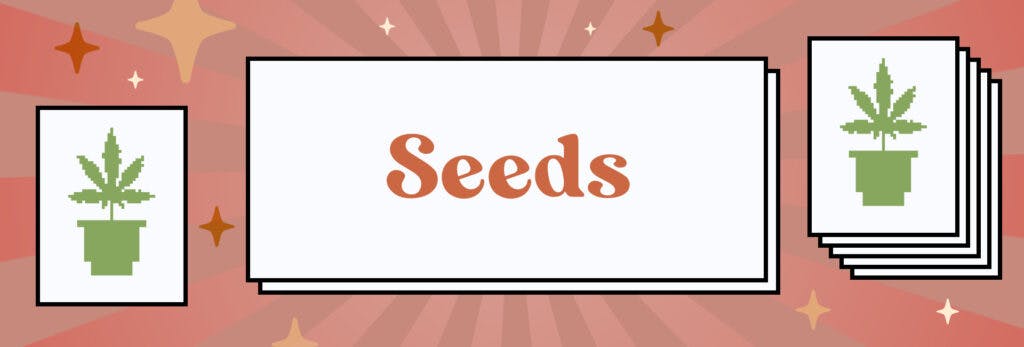 The Apple Fritter weed strain is September 2022's Leafly HighLight