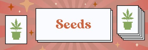 So many hot breeders work Fritter lines in 2022.